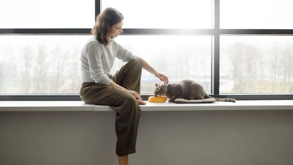 女性が猫にごはんをあげている